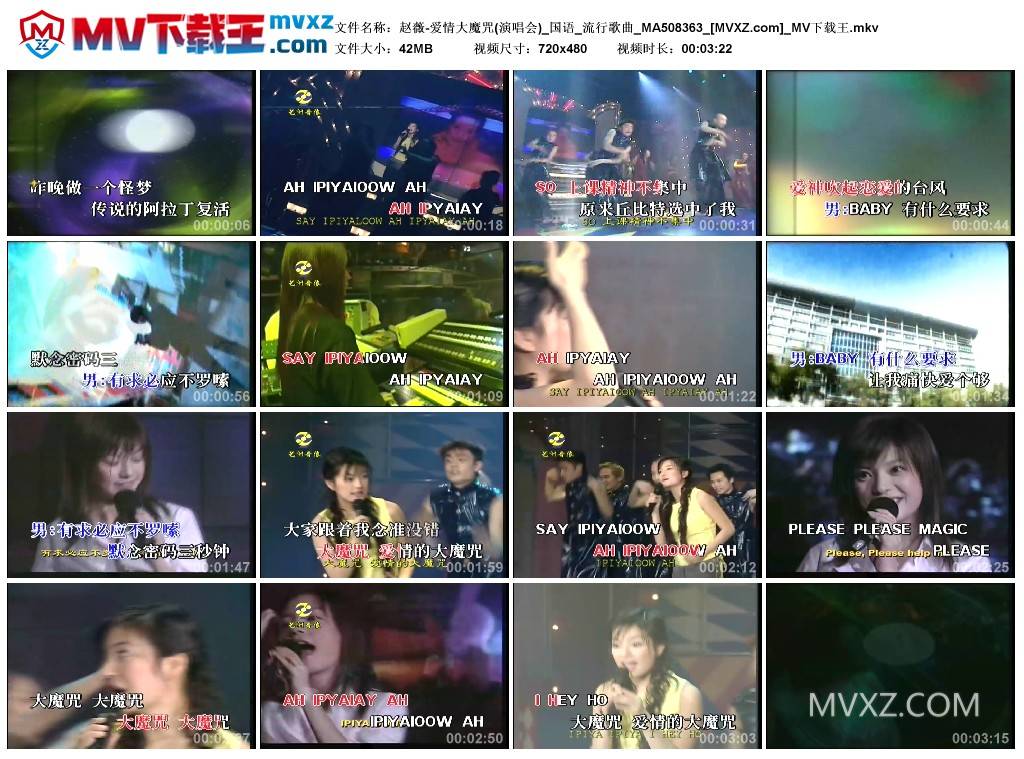赵薇-爱情大魔咒(演唱会)_国语_流行歌曲_MA508363